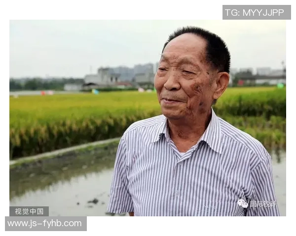 从贫困到荣耀：足球巨星们的成长历程与奋斗之路